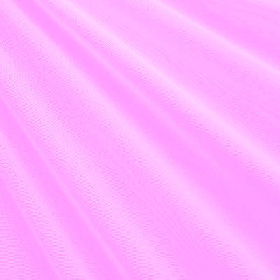 Orchid